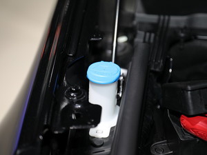 2019l(f)F(xin) Ϻ܇(ch)չ