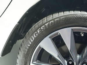 2019LANNIA {B Ϻ܇չ