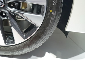 2019LANNIA {B Ϻ܇չ