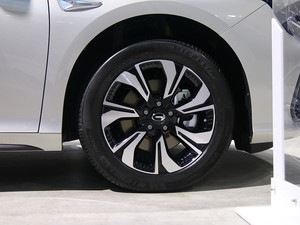 2019A(y)ion S(S) Ϻ܇չ