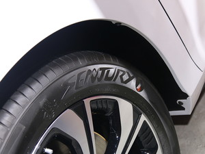 2019Aion S(S) Ϻ܇չ