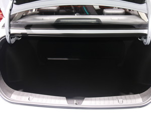 2019A(y)ion S(S) Ϻ܇չ