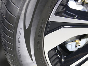 2019A(y)ion S(S) Ϻ܇չ