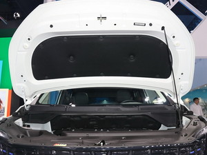 2019��������ͨMAXUS EUNIQ 5 �Ϻ�܇չ