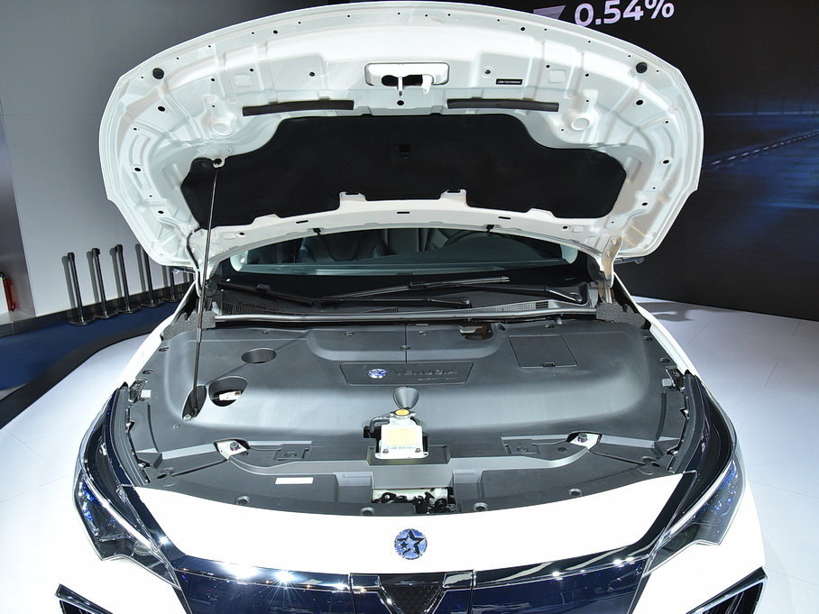 2019���D60EV 