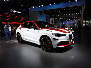 2019Stelvio˹̹ά Ϻչ