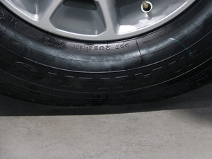 2019��ȫ� �Ϻ�܇չ