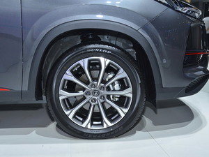 2020LCS75 PLUS Ϻ܇չ