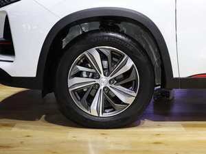 2020LCS75 PLUS Ϻ܇չ