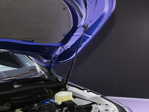 2020׿_˹RX Ϻ܇(ch)չ