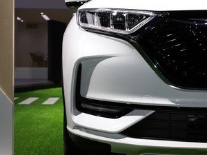 2020L(zhng)WX7 Ϻ܇(ch)չ