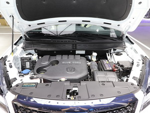 2019L(zhng)Wпِ5 Ϻ܇չ