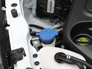 2019L(zhng)Wпِ5 Ϻ܇չ