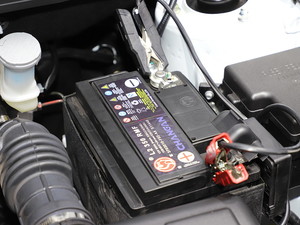 2019L(zhng)Wпِ5 Ϻ܇չ