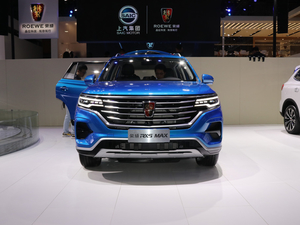2019sRX5 MAX Ϻ܇չ