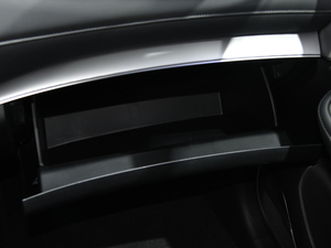 2020sRX5 eMAX Ϻ܇չ