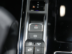 2020sRX5 eMAX Ϻ܇չ