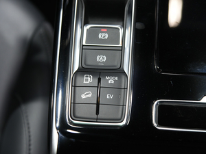 2020sRX5 eMAX Ϻ܇չ