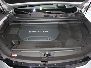 2020ͨMAXUS  EUNIQ 6 Ϻ܇չ