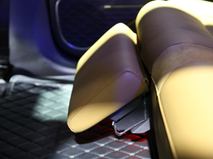 2019Aion LX(LX) Ϻ܇չ