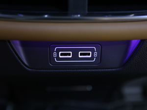 2019Aion LX(LX) Ϻ܇չ