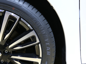 2019Aion S(S) Ϻ܇չ