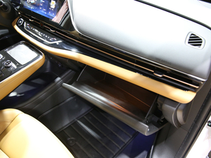 2019Aion S(S) Ϻ܇չ