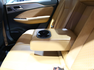 2019Aion S(S) Ϻ܇չ