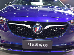 2019GS Ϻչ