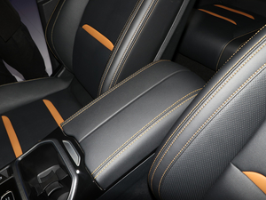 2019vT77 Ϻ܇(ch)չ