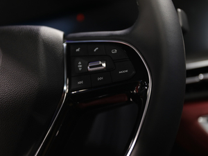 2020LCS75 PLUS Ϻ܇չ