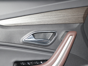 2019BEIJING-EU7 Ϻ܇չ