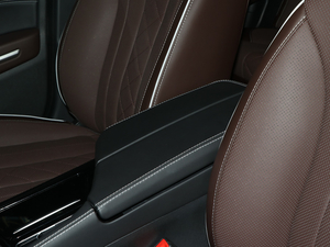 2019BEIJING-EU7 Ϻ܇չ