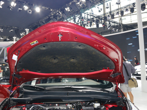 2018ȝIZOA Ϻ܇(ch)չ