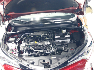 2018ȝIZOA Ϻ܇(ch)չ