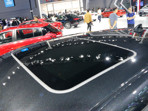 2018ȝIZOA Ϻ܇(ch)չ