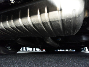 2020��Ơ��S�� �Ϻ�܇չ