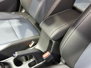 2019(chung) Ϻ܇չ