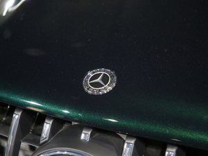 2020YGLE AMG Ϻ܇չ