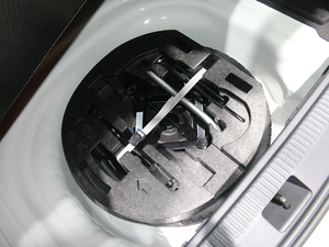 2019�����J����܇ �Ϻ�܇չ