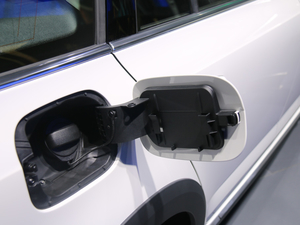 2019�����J����܇ �Ϻ�܇չ