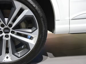 2020WQ7 e-tron Ϻ܇չ