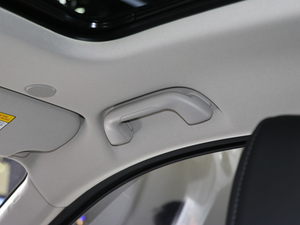 2020κ VV7 GT-PHEV Ϻ܇չ