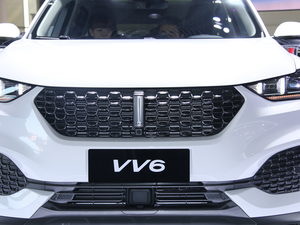 2020��κ�� VV6 �Ϻ�܇չ