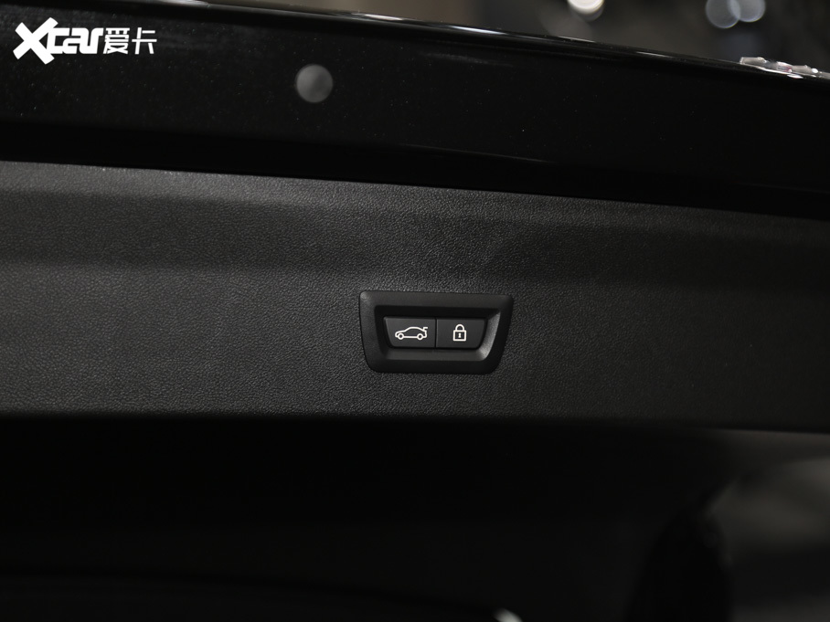 2019RX4 xDrive 25i Tʿ