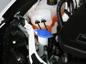 2019ɵϚWEnergi Ϻ܇չ