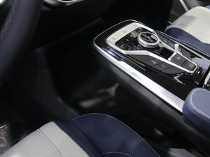 2020ͨMAXUS G20 Ϻ܇չ