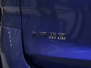 2020ͨMAXUS G20 Ϻ܇չ