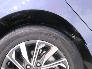 2020ͨMAXUS G20 Ϻ܇չ