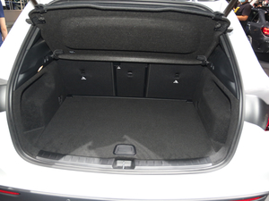 2021YGLAAMG Ϻ܇չ